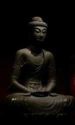 minh-d-c-tKoZUAGbPEw-unsplash